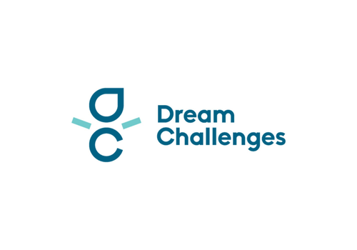 blue, turquoise, and white dream challenges company logo